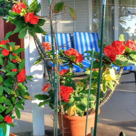 Melocotones Maspalomas (Gran Canaria)