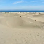 Melocotones Maspalomas (Gran Canaria)